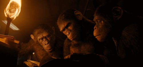 책을 발겮한 유인원