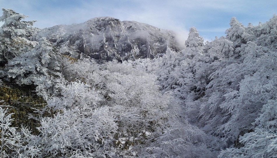 눈덮힌 한라산 사진