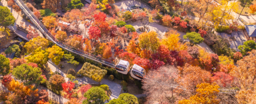 경기도 광주 곤지암 화담숲 단풍 축제 