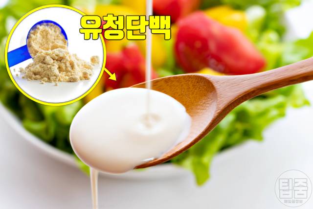 통풍에 좋은 음식 그릭요거트 통풍에 좋은 고기