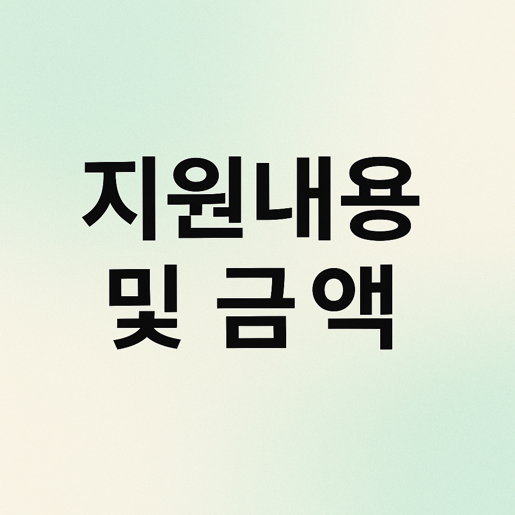 지원내용 및 금액