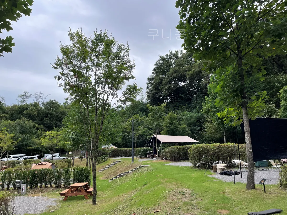 서울-가족캠핑-피크닉-추천-초안산캠핑장-자리,예약-꿀팁