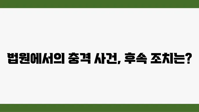 법원 내 안전 조사, 이와 같은 절차가 필요하다?