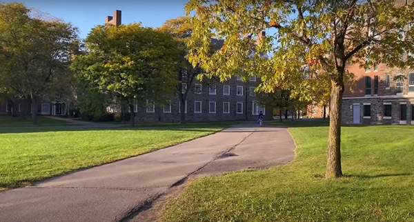 cornell