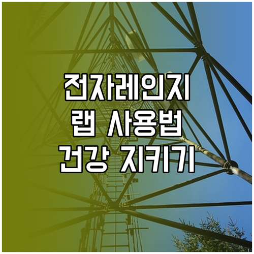 전자레인지 랩 사용, 건강하게 지키는..