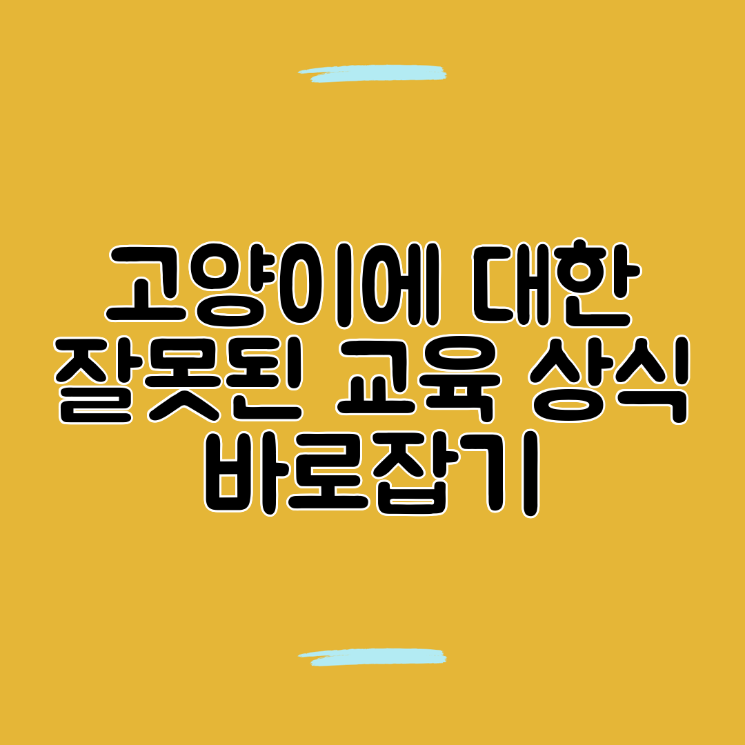 고양이에 대한 잘못된 교육 상식 바로잡기