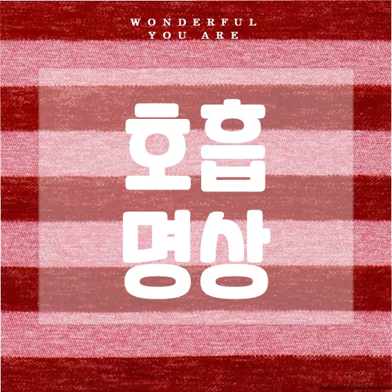 호흡 명상 완벽 가이드: 마음챙김과 스트레스 해소의 모든 것