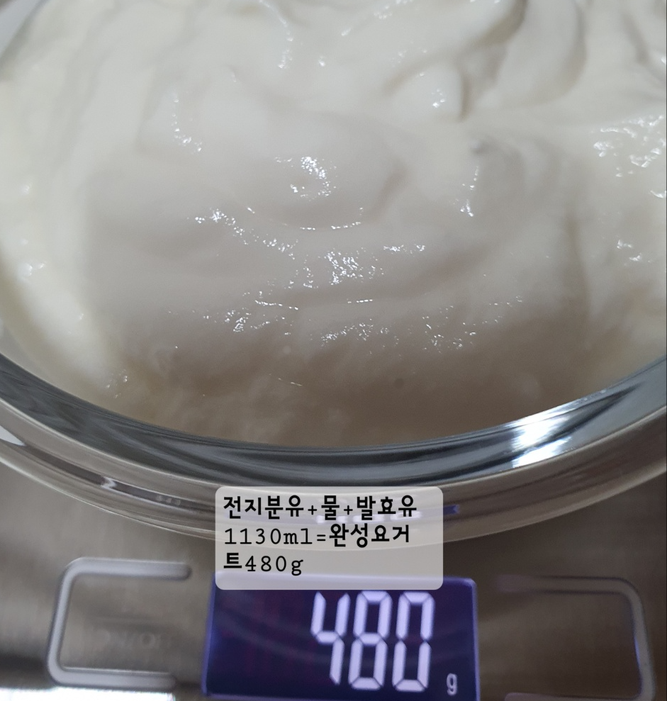 최종 나온 요거트의 양도 일반 우유발효랑 별반 차이가 안 보인다
