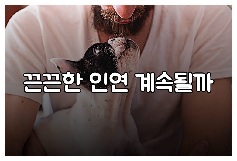 끈끈한 인연 계속될까