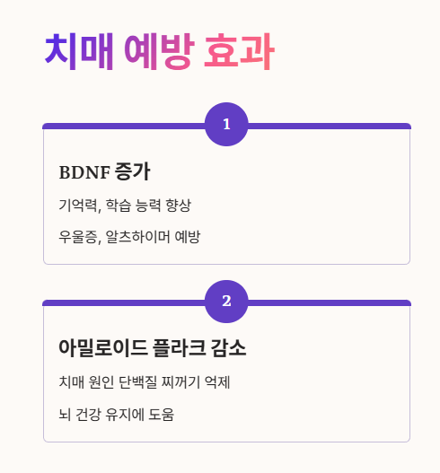 커큐민 효능 : 치매 예방 효과