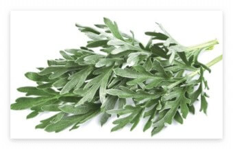 3월 제철 음식 쑥