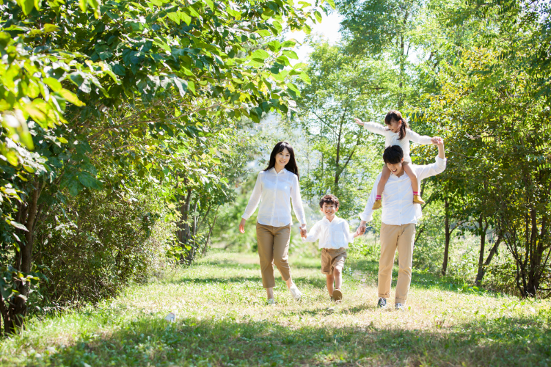 대한민국의 REDD+ 전략과 2050 탄소중립