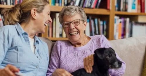 기억력감퇴원인