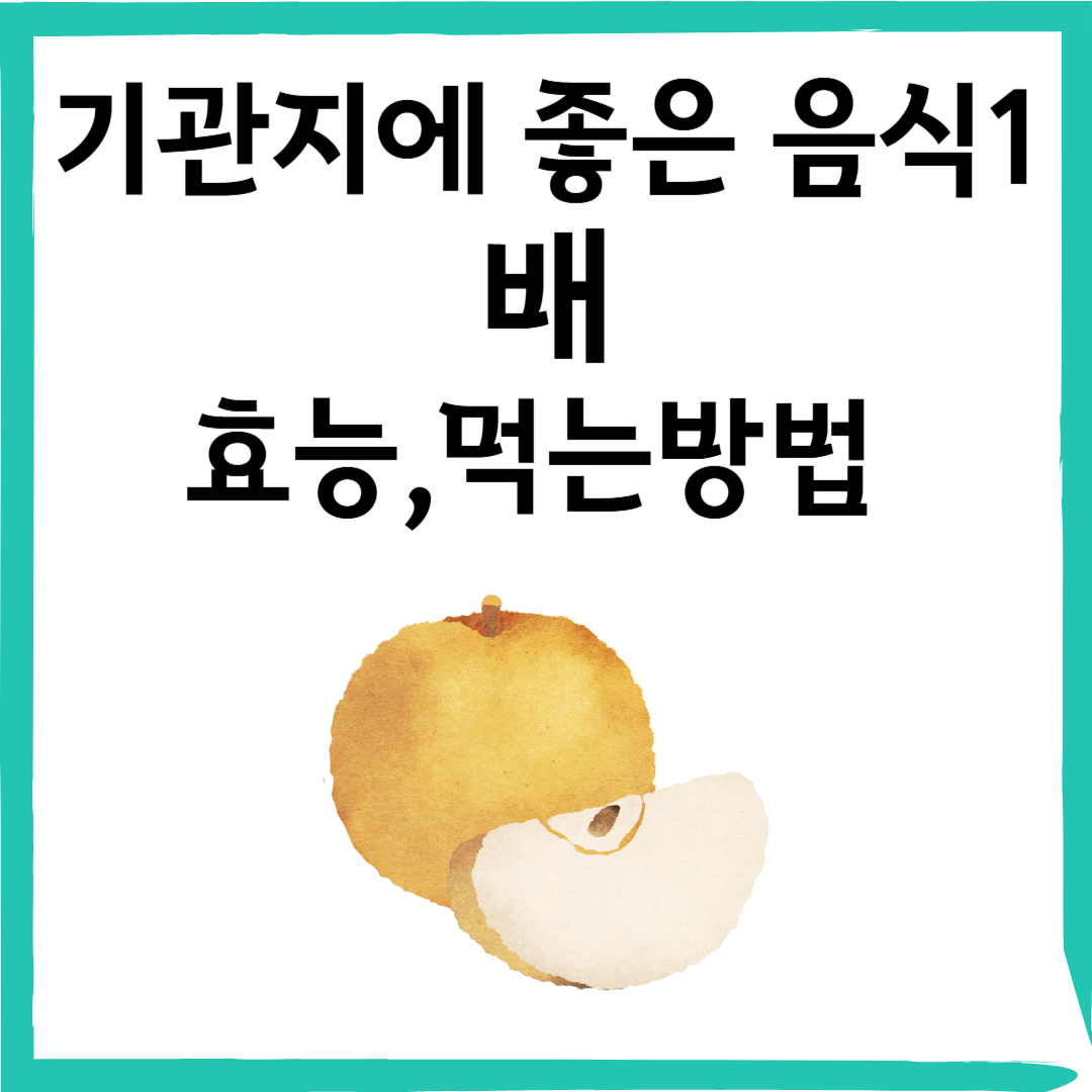 배(梨): 기관지 건강과 면역력을 위한 최고의 과일