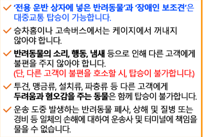 2024년 설 연휴 고속버스 예매