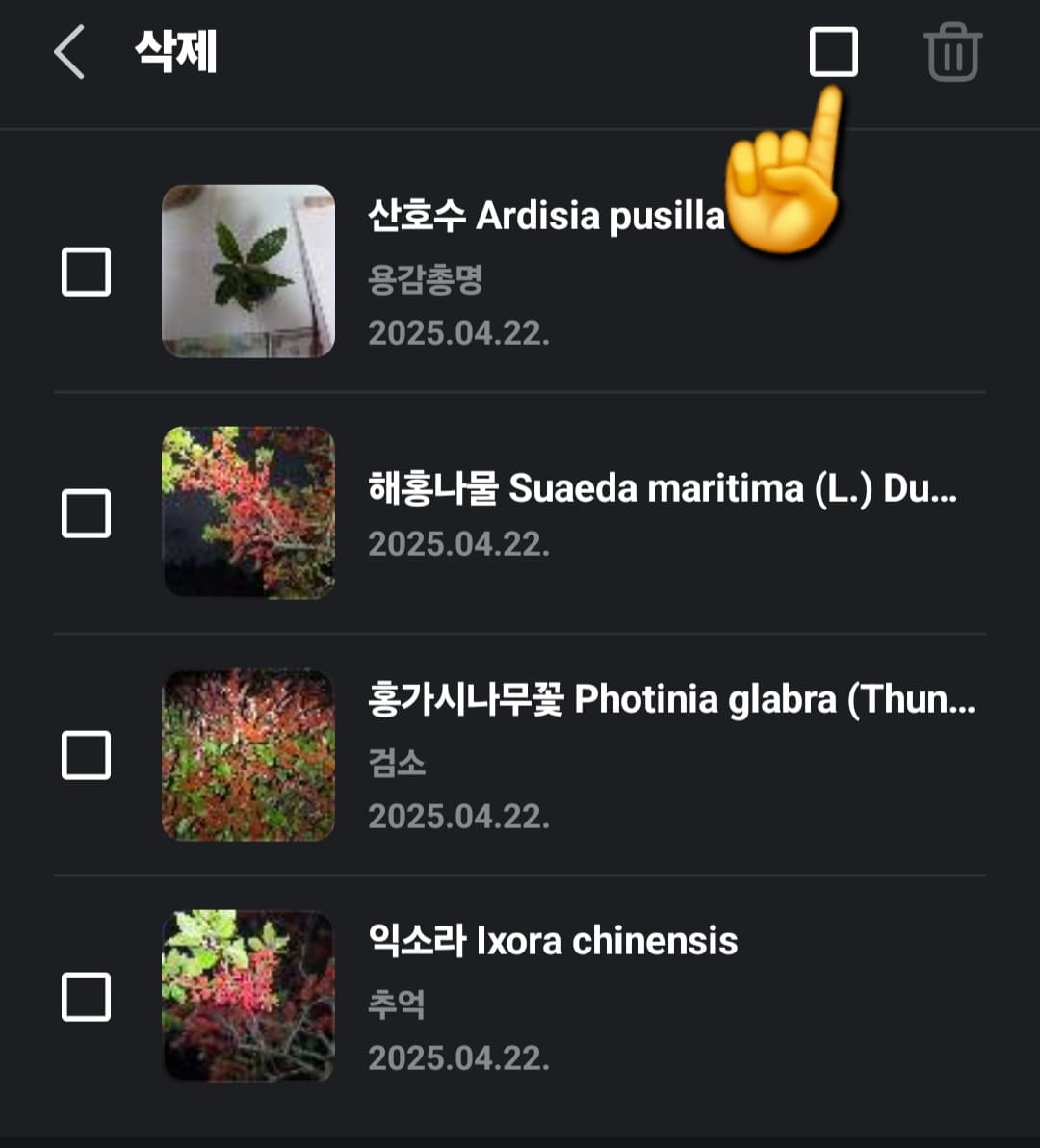 다음(Daum)-꽃검색-방법-안내-체크박스가-활성화-되는데요.-전체-삭제를-원하시면-오른쪽-상단의-네모-아이콘을&amp;#44;-부분-삭제를-원하시면-원하는-이미지만-선택해