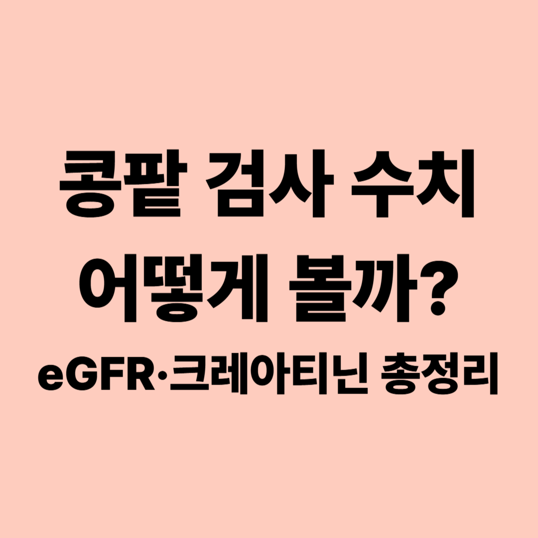 콩팥 기능검사 수치 보는 법｜크레아티닌&middot;eGFR&middot;단백뇨 쉽게 알아보기
