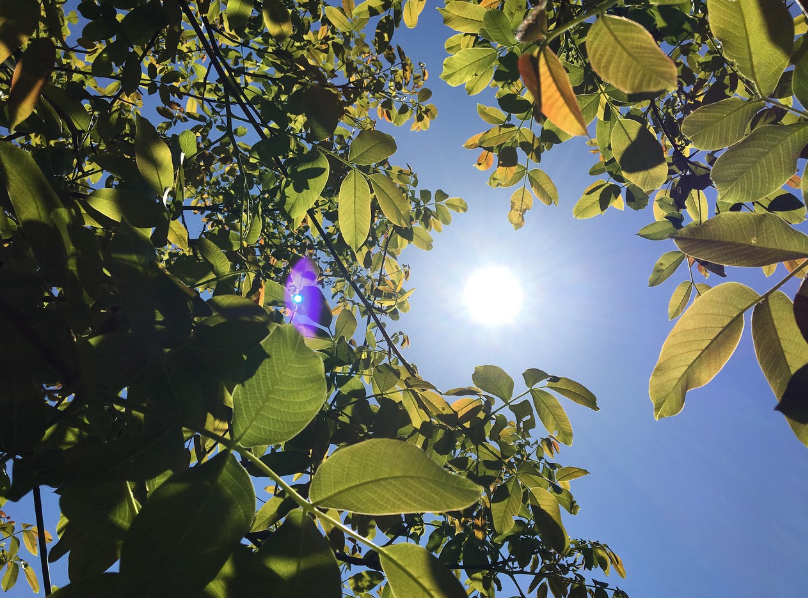 열대야 기준 온도 - 열대야 기간, 열대야 취침모드 전기세, 더위증상(온열질환)까지 총정리!