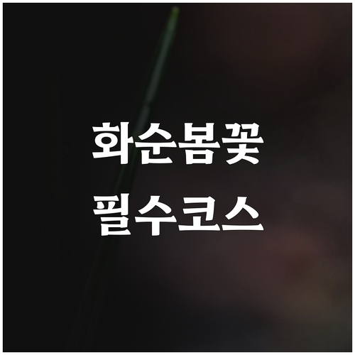 전남 화순 봄 여행 명소 추천과 일교..