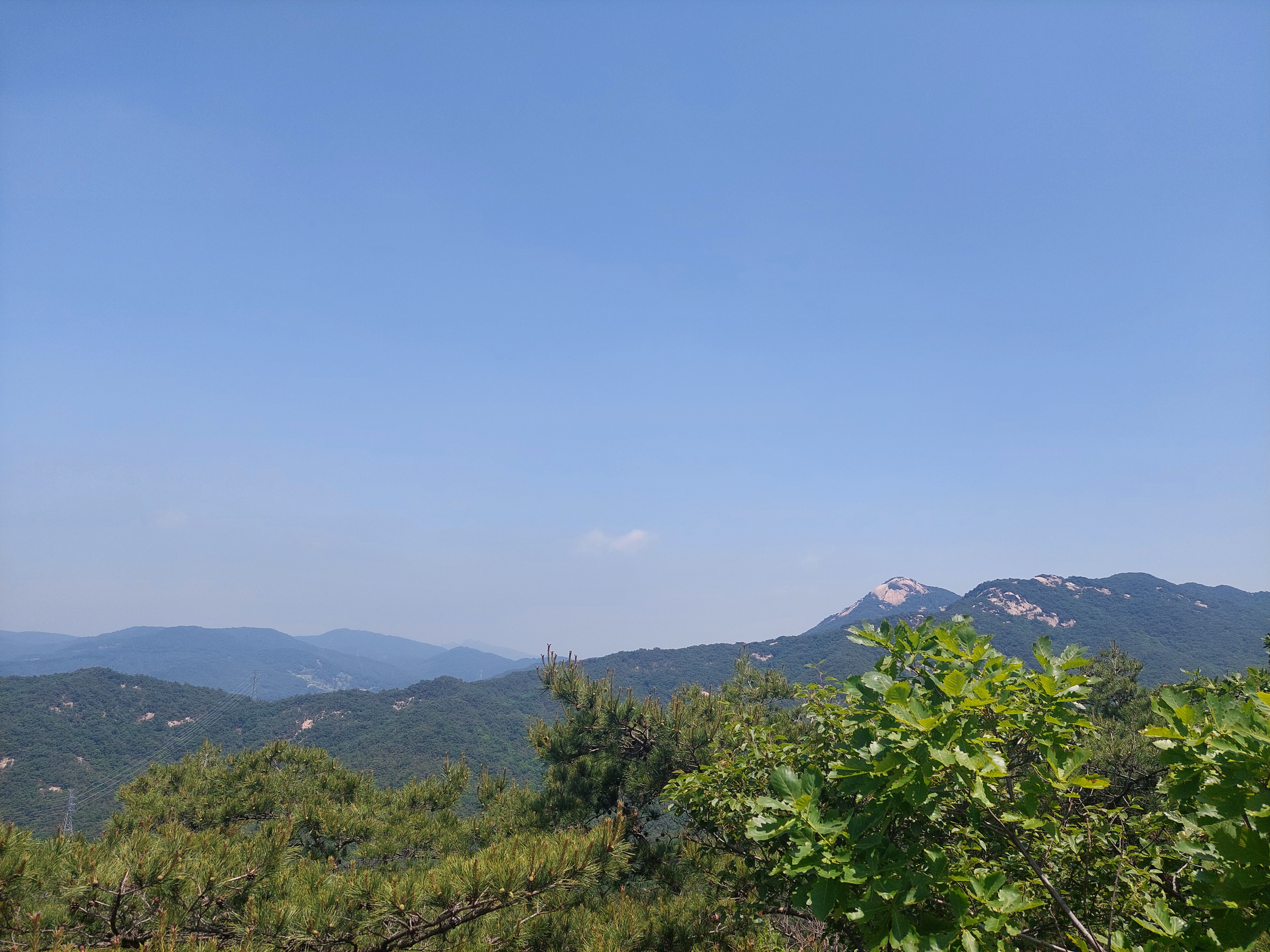 오봉