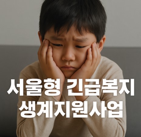 서울형 긴급복지 생계지원 사업 관련 사진