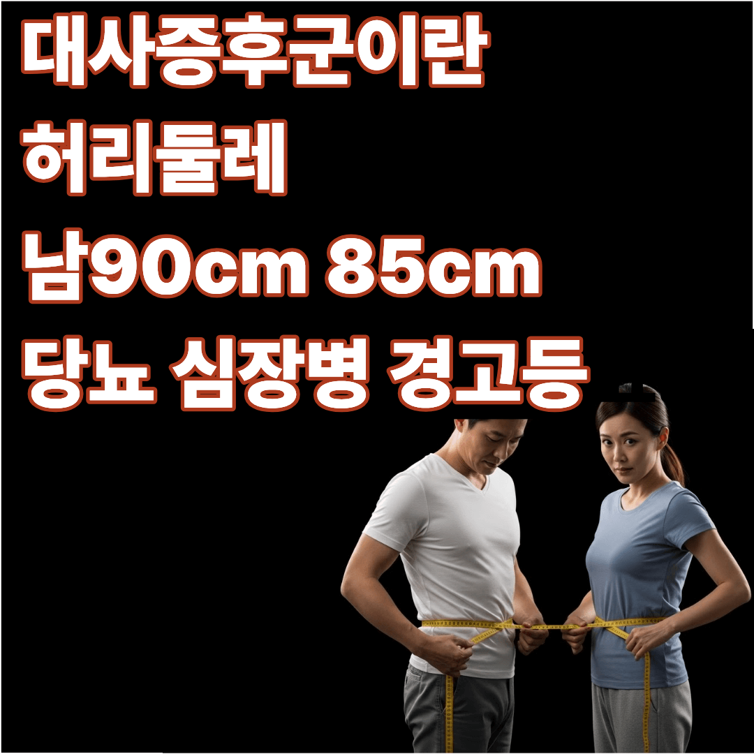 대사증후군이란 허리둘레 남90 여85cm가 보내는 당뇨 심장병 경고등