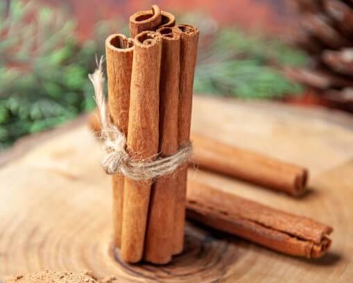 계피-벌레-퇴치-3