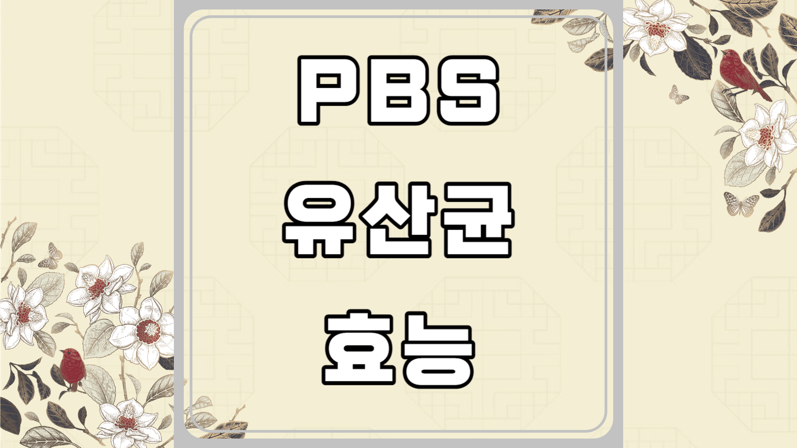 pbs 유산균 효능