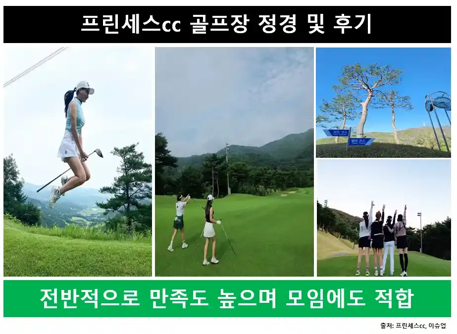 프린세스cc후기