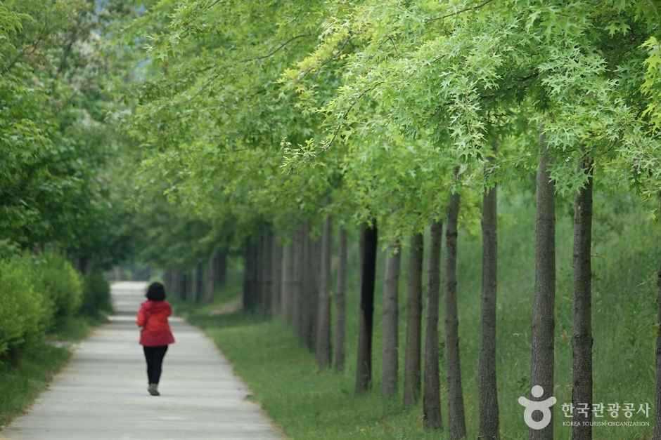핫들생태공원