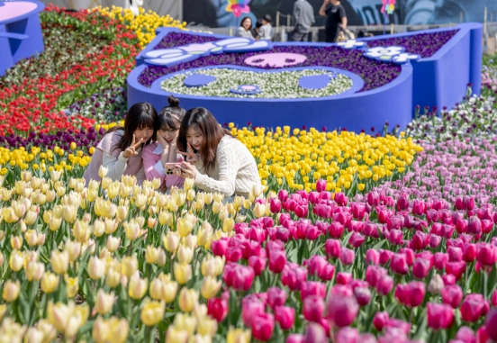 2025년 에버랜드 튤립축제
