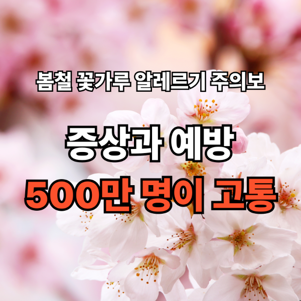 봄철 꽃가루 알레르기 주의보! 증상과 예방 방법 총정리