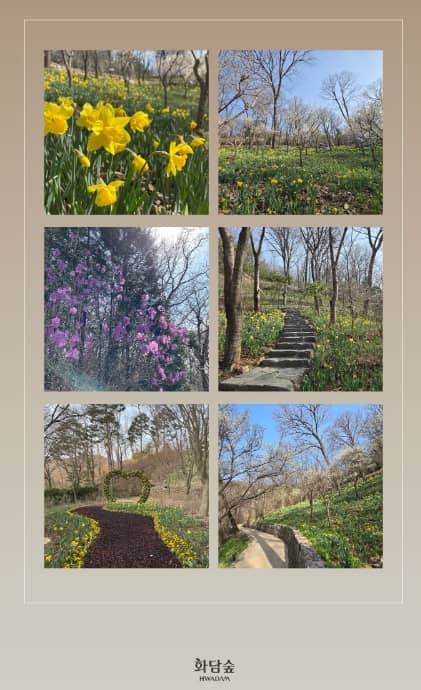 벚꽃축제 봄꽃축제