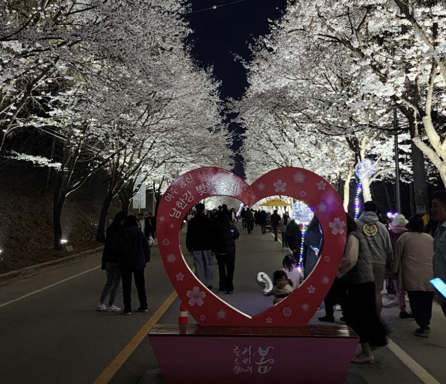 흥천남한강벚꽃