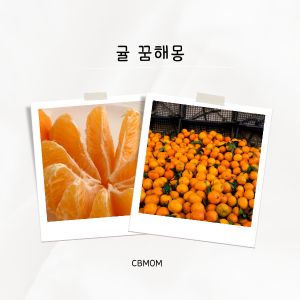 귤 꿈해몽