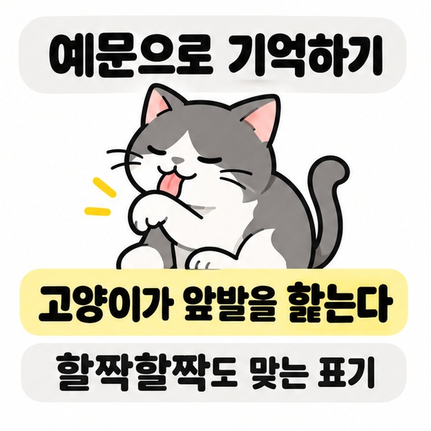 회색 고양이가 앞발을 핥는 그림에 고양이가 앞발을 핥는다라는 예문과 할짝할짝 표기 안내를 넣은 모습
