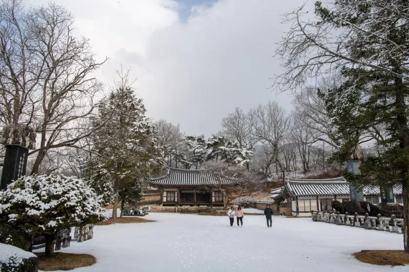 경남 겨울 여행 명소 추천, 자연·설경·숲길 BEST 4