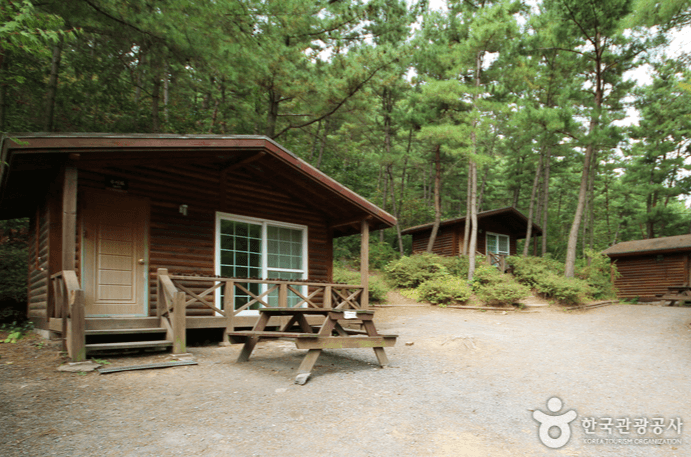 국립 희리산해송 자연휴양림