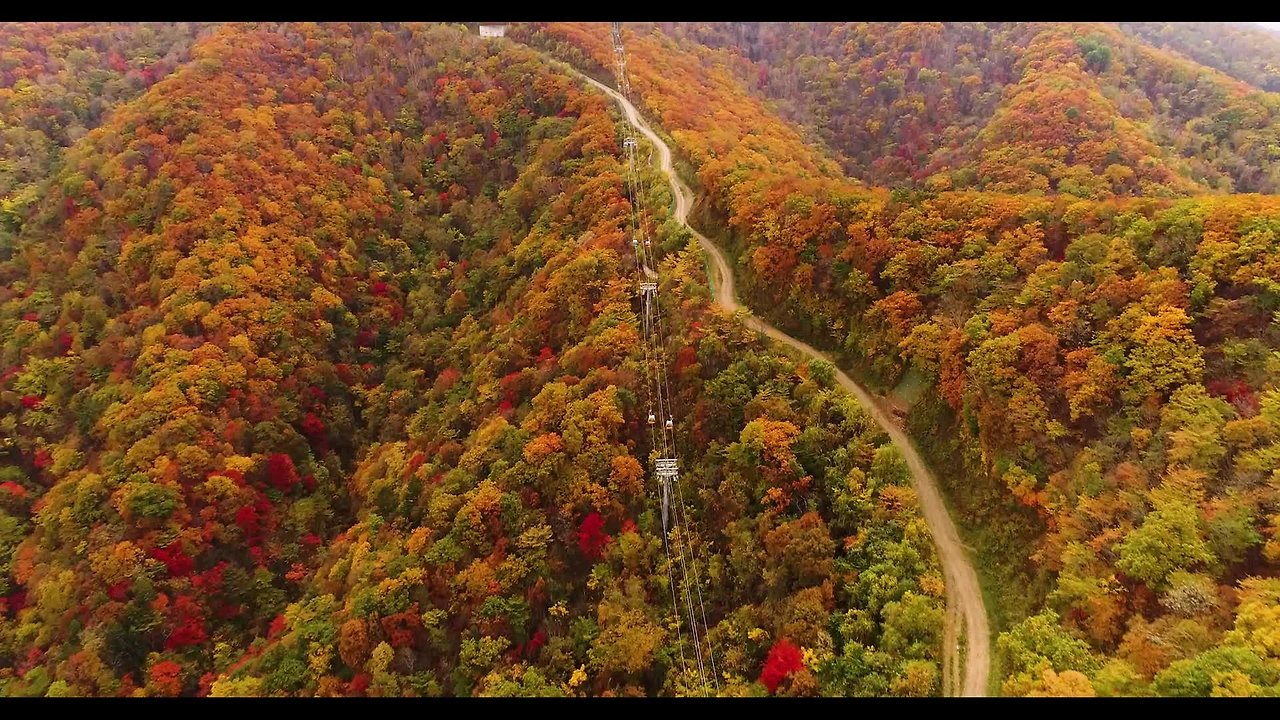 발왕산 케이블카 요금