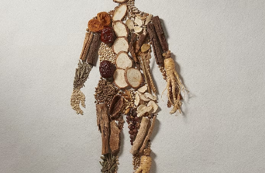 한방 약재 이미지