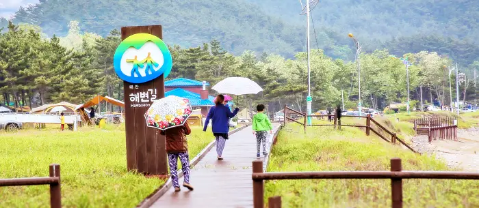 생방송오늘저녁 충남 태안 신박한 네바퀴 여행 여섯 식구도 거뜬 45인승 버스 캠핑카 오토 캠핑장 추천