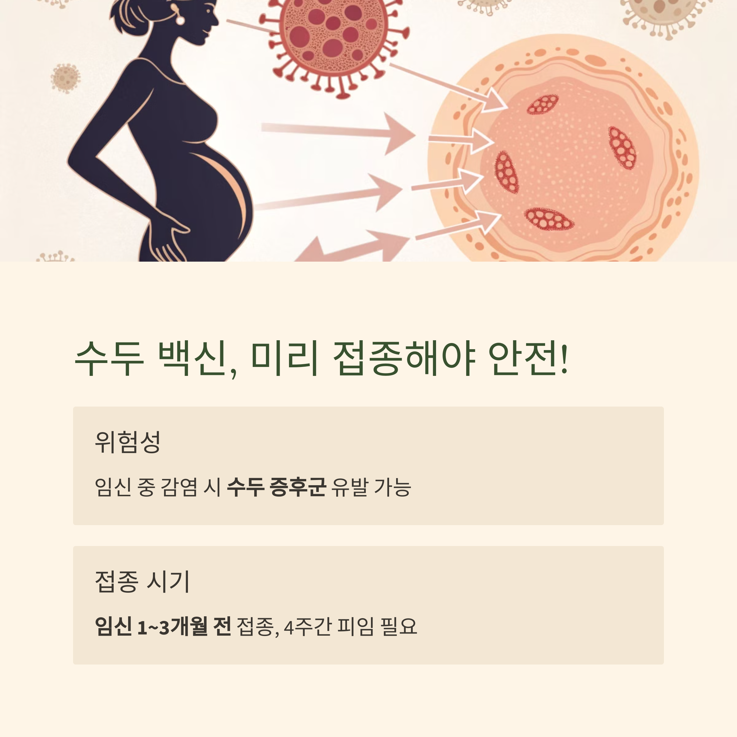 임산부 예방접종 파헤치기! 시기별 필수 백신 총정리-인포그래픽3