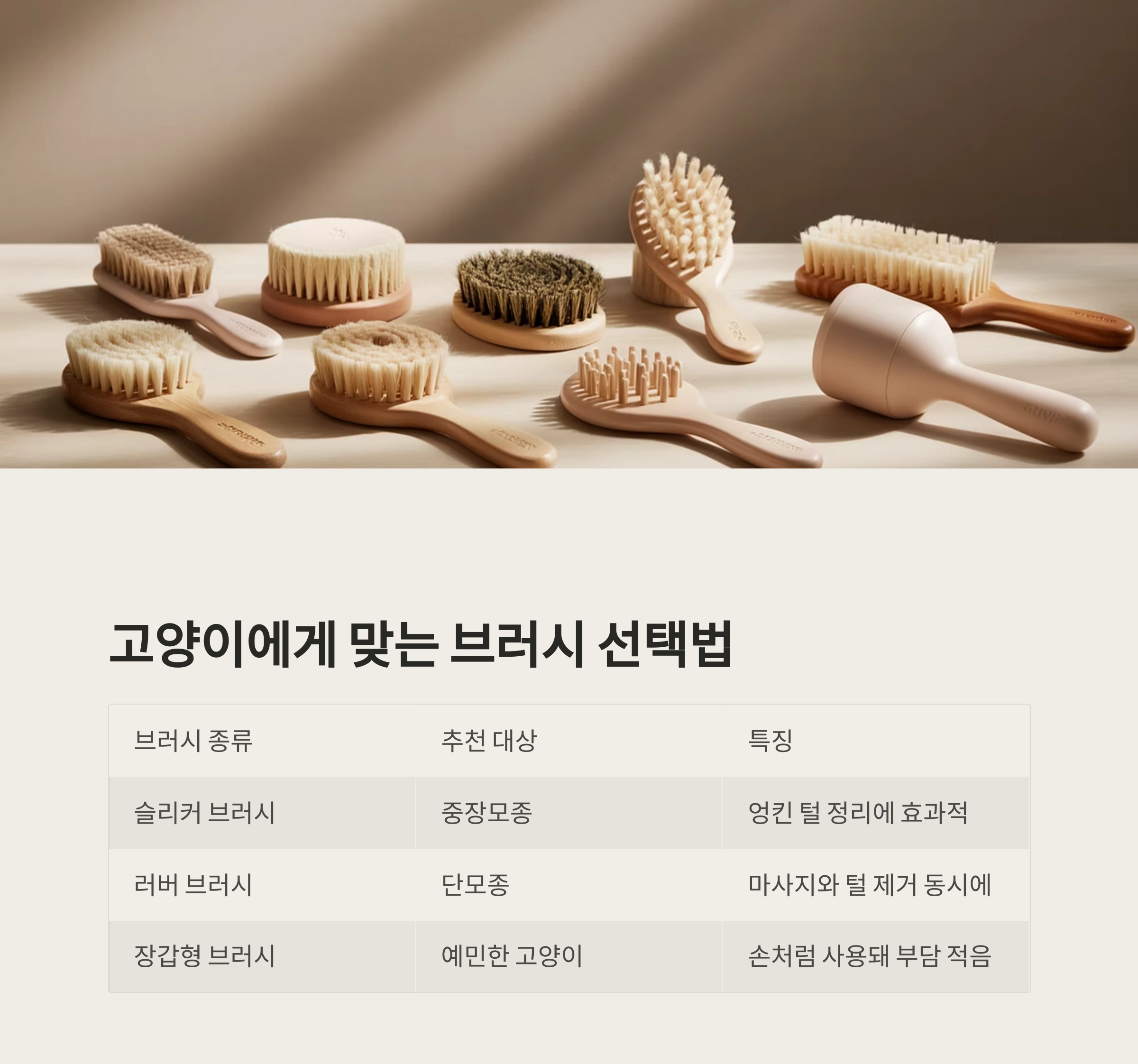 매일 빗질 : 고양이 털 빠짐을 막는 가장 쉬운 방법