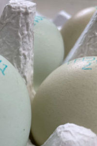 계란찜 맛있게 하려면 전자레인지 말고 뚝배기에 조리하기