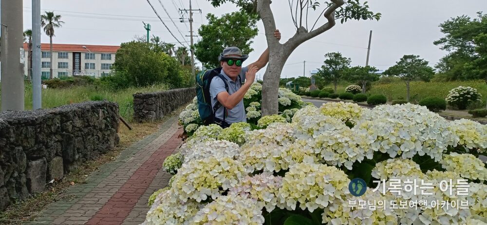 나무에 매달린 아버지