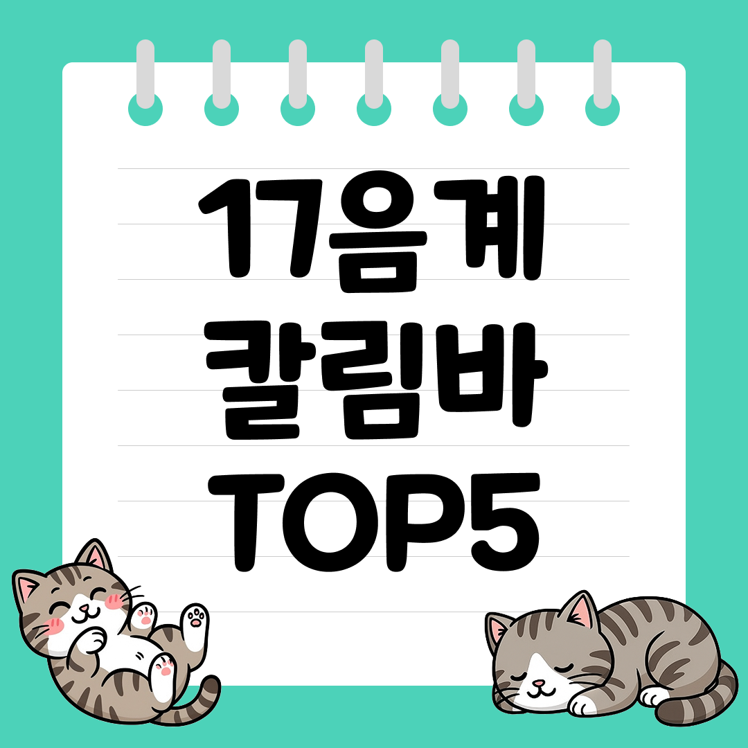 가성비 좋은 입문용 17음계 칼림바 추천 순위 TOP5