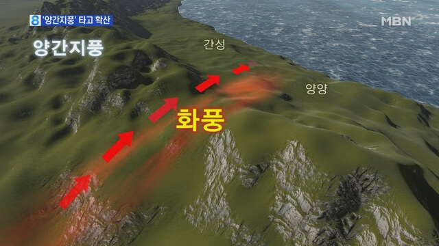 양간지풍