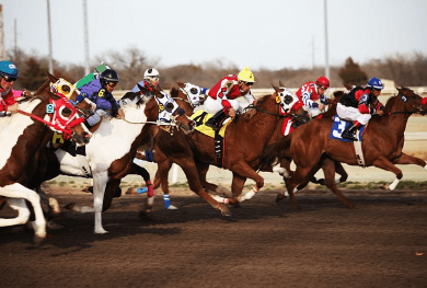 2024 렛츠런파크 서울 가을축제 밤마실 페스티벌