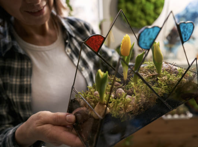테라리움 고급화