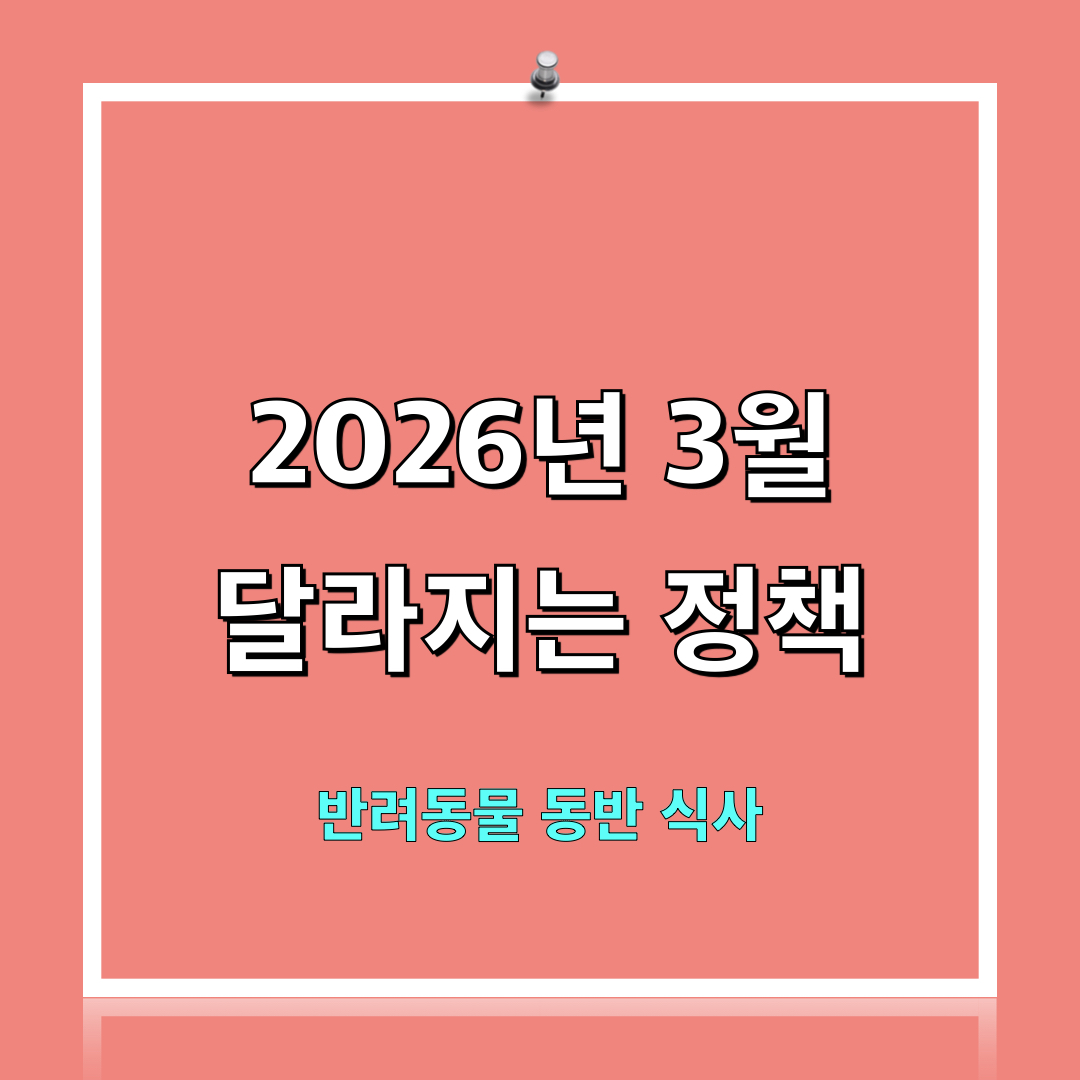 반려동물동반식사